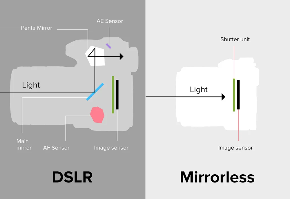 Side-by-side diagram comparing DSLR and mirrorless camera designs, showing light path in a DSLR reflecting off a main mirror and pentamirror to the viewfinder and sensors, versus a mirrorless camera where light passes directly to the image sensor without a mirror or pentamirror system.